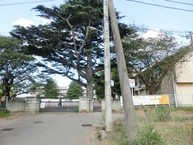 小学校　犢橋小学校（小学校）まで1200m