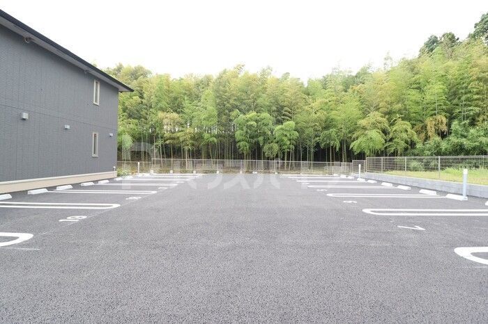アレグリアのその他写真