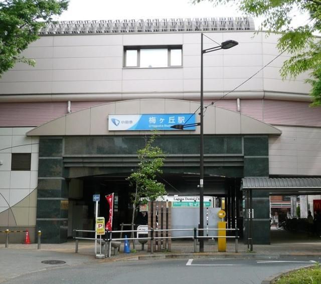 その他　梅ヶ丘駅（その他）まで556m