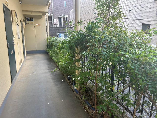 ライテイジのその他写真