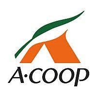 スーパー　Aコープ安原店（スーパー）まで1270m