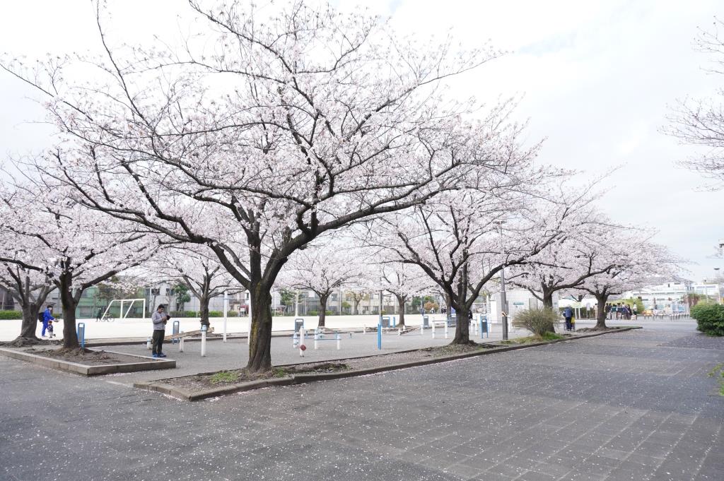 【メゾン　リーブルの公園】