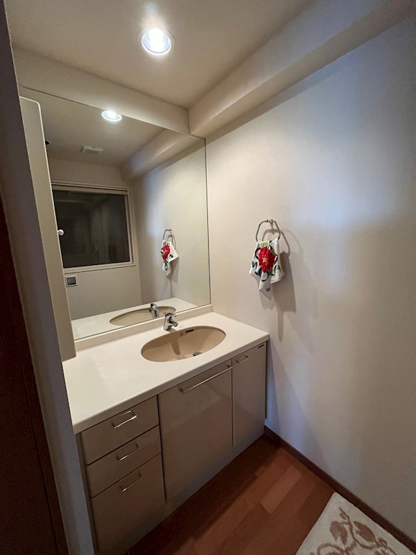 洗面設備　コンパクトながら清潔感のあるサニタリー