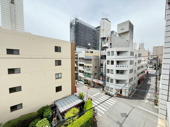 眺望　※別部屋の写真です