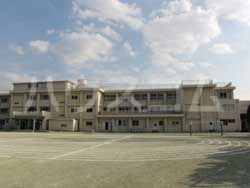 小学校　むさしの学園小学校（小学校）まで295m