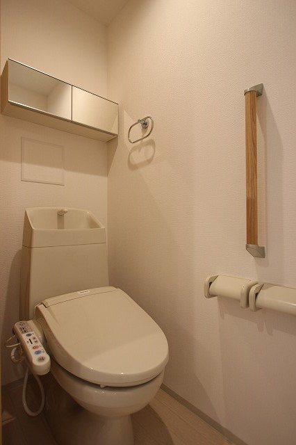 トイレ　同物件、別号室のものです。