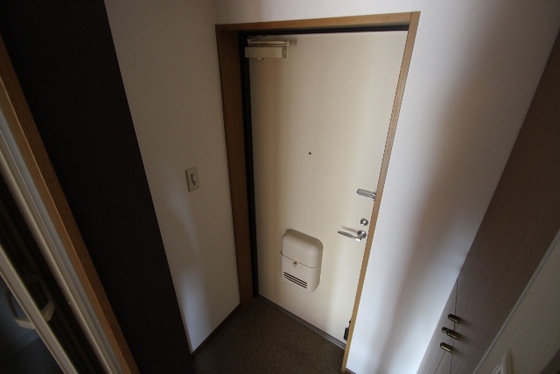 玄関　※ほかの部屋の写真です。