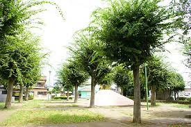 公園　けやき公園（公園）まで547m