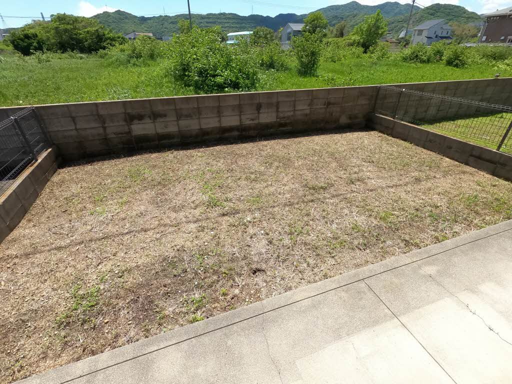 庭