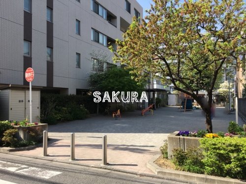 公園　丸子通公園（公園）まで370m