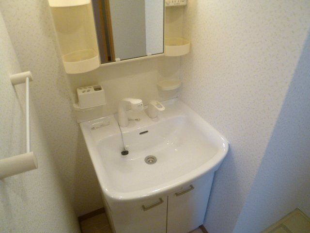 洗面設備　別部屋写真です。シャンプードレッサーの独立洗面台です。