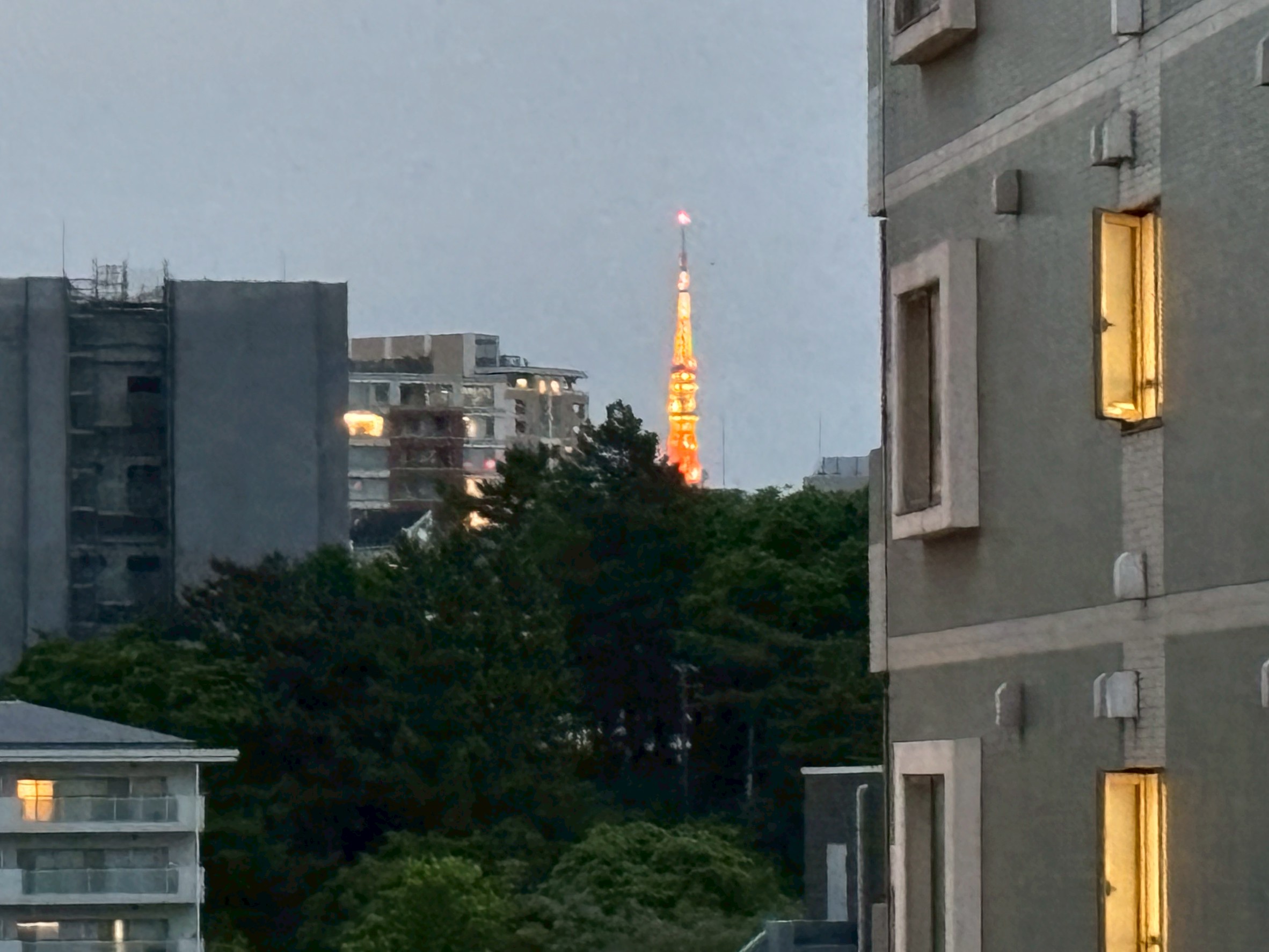 眺望　お部屋から東京タワーが望めます