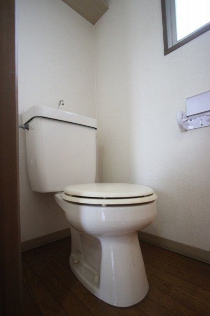 トイレ　同物件別号室のものです。