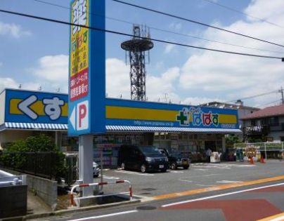 ドラックストア　どらっぐぱぱす 世田谷中町店（ドラッグストア）まで196m