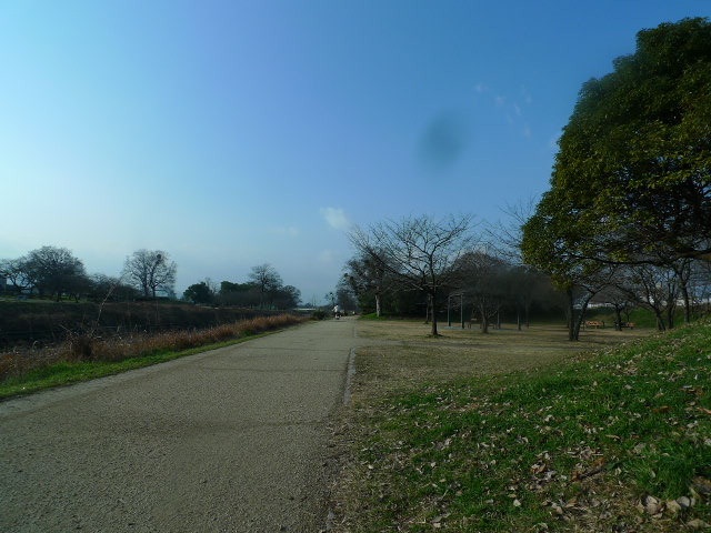 公園　石手川（公園）まで240m