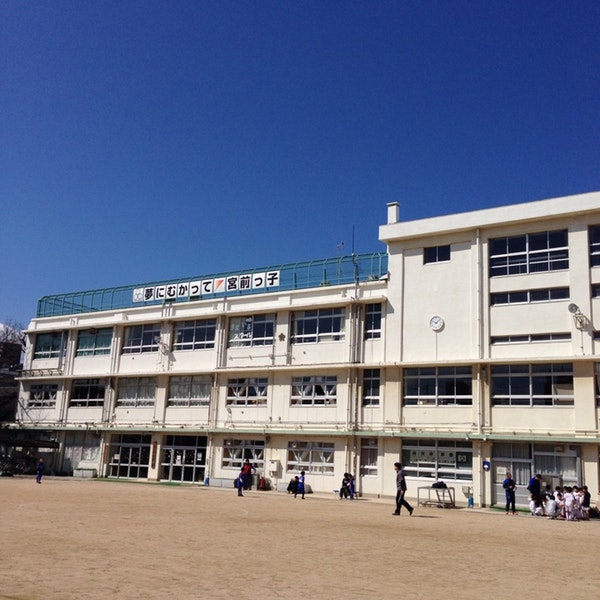 小学校　品川区立宮前小学校（小学校）まで252m
