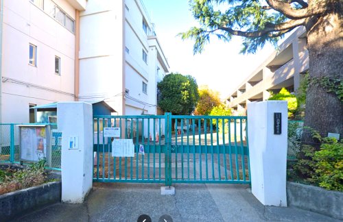 小学校　杉並区立浜田山小学校（小学校）まで634m