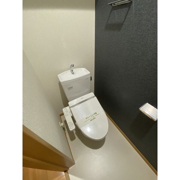 トイレ　※写真は別号室