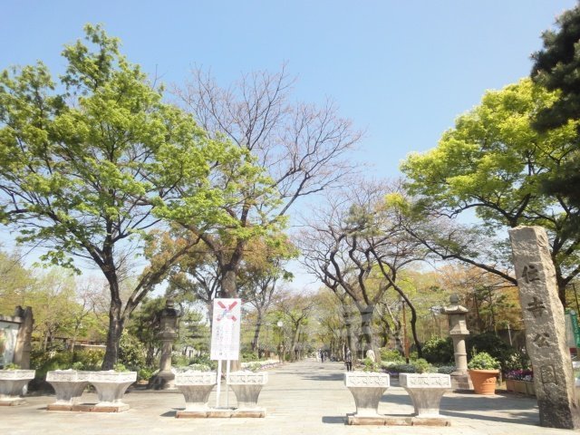公園　住吉公園（公園）まで857m