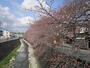 公園　長坂緑地（公園）まで1587m