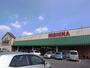 スーパー　ニシナフードバスケット　児島下の町店（スーパー）まで843m