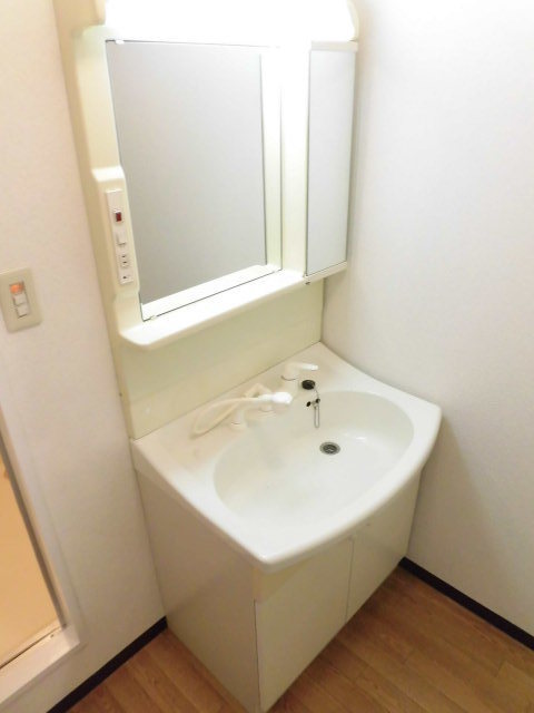 洗面設備　シャワー付きの洗面台です。