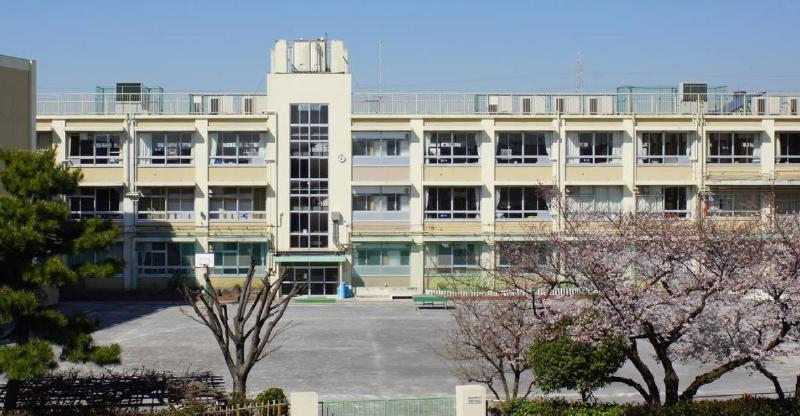 小学校　金町小学校（小学校）まで260m