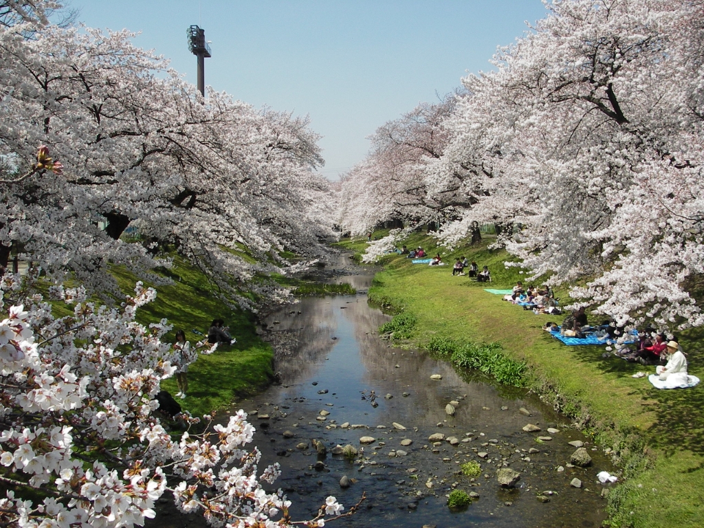 公園　立川公園（公園）まで799m