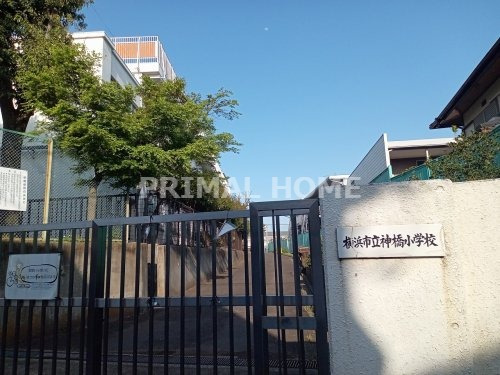 小学校　横浜市立神橋小学校（小学校）まで274m