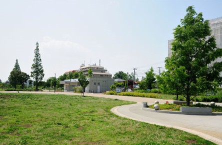 公園　杉並区立桃井原っぱ公園（公園）まで1112m