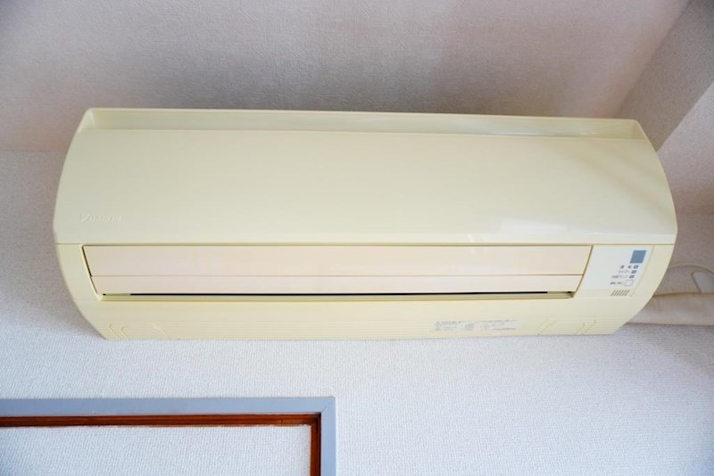 ボアソルテオクダのその他写真