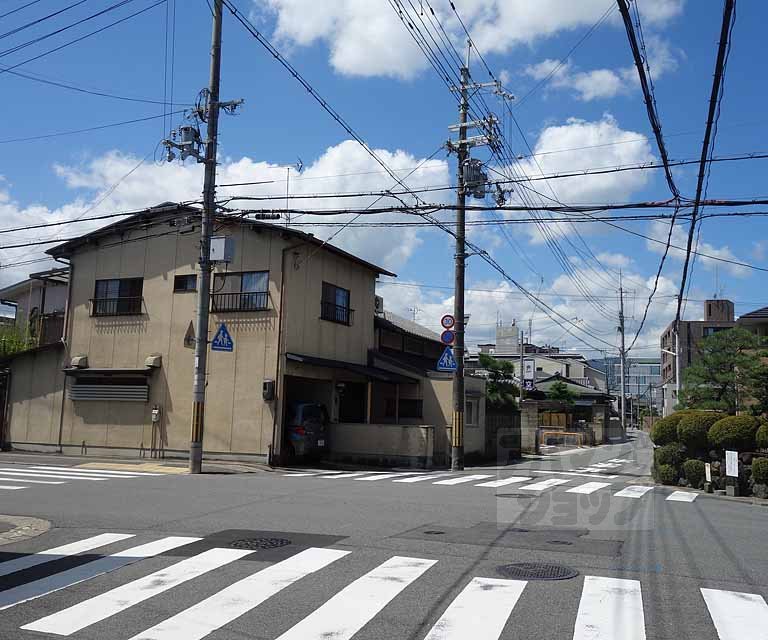 エクセレンス飛鳥のその他写真