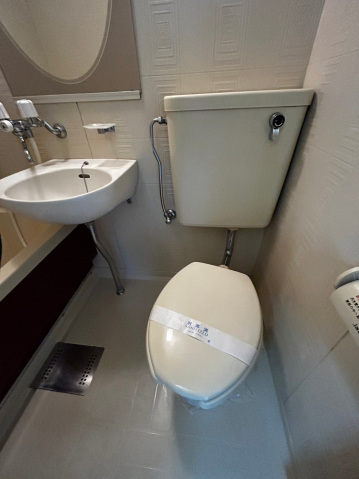 ハイツフレンド藤岡Iのトイレ写真