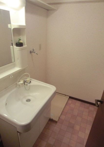 洗面設備　写真は別号室です。