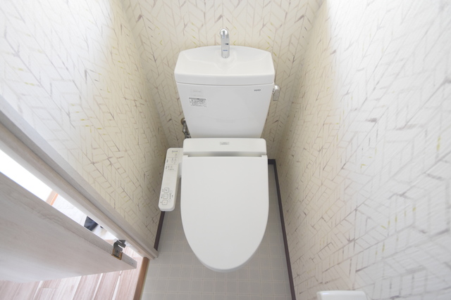田井ハイツのトイレ写真