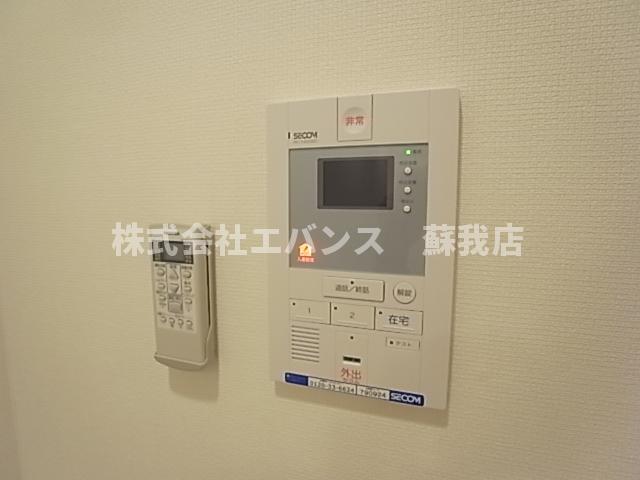 リブリ・シャルマンのその他写真