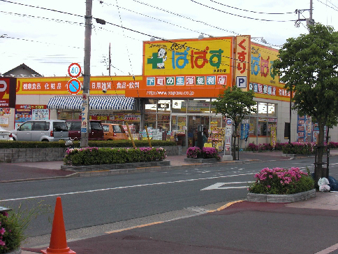ドラックストア　どらっぐぱぱす 西竹の塚店（ドラッグストア）まで318m