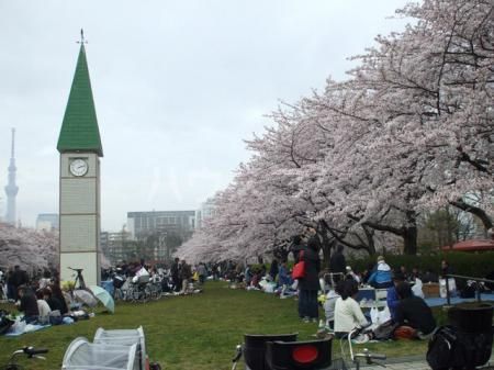 【江東区猿江のマンションの公園】