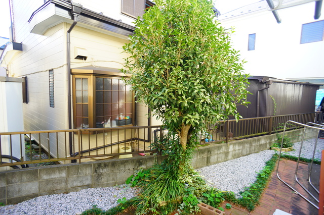 眺望　お部屋からの景色です！圧迫感がないので暮らしやすい♪