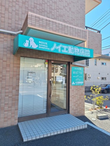 病院　ノイエ動物病院（病院）まで281m