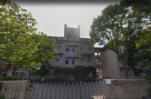 小学校　熊本市立白川小学校（小学校）まで589m