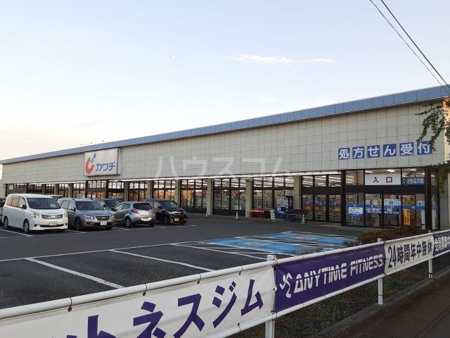 ドラックストア　カワチ薬品 ひたちなか店（ドラッグストア）まで924m