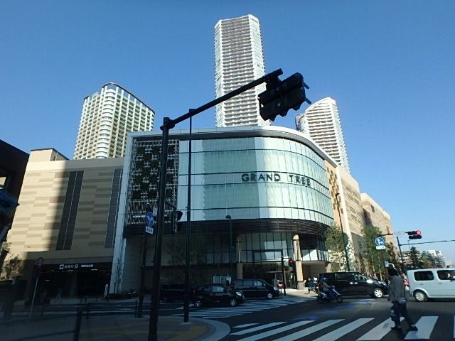 その他　★ＧＲＡＮＤ　ＴＲＥＥ★（その他）まで544m