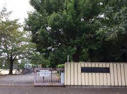 中学校　越谷市立栄進中学校（中学校）まで280m