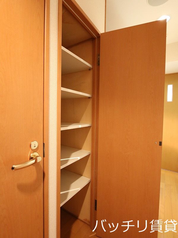 玄関　画像は別号室タイプの為、現状を優先いたします