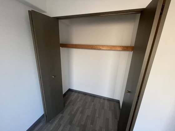 収納　※別部屋の写真です