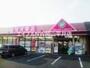 ドラックストア　金光薬品山崎店（ドラッグストア）まで378m