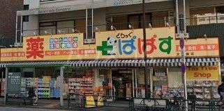 ドラックストア　どらっぐぱぱす 大久保店（ドラッグストア）まで738m