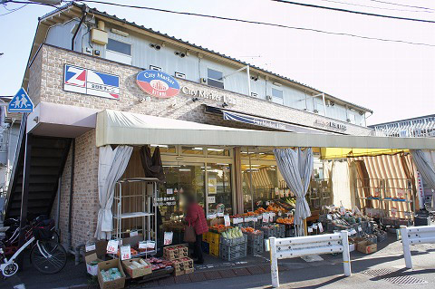 小田急線 成城学園前駅 徒歩18分 2階建 新築の周辺写真