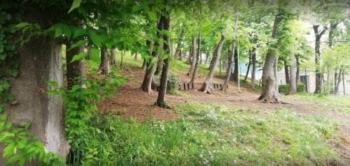 公園　中原緑地（公園）まで764m